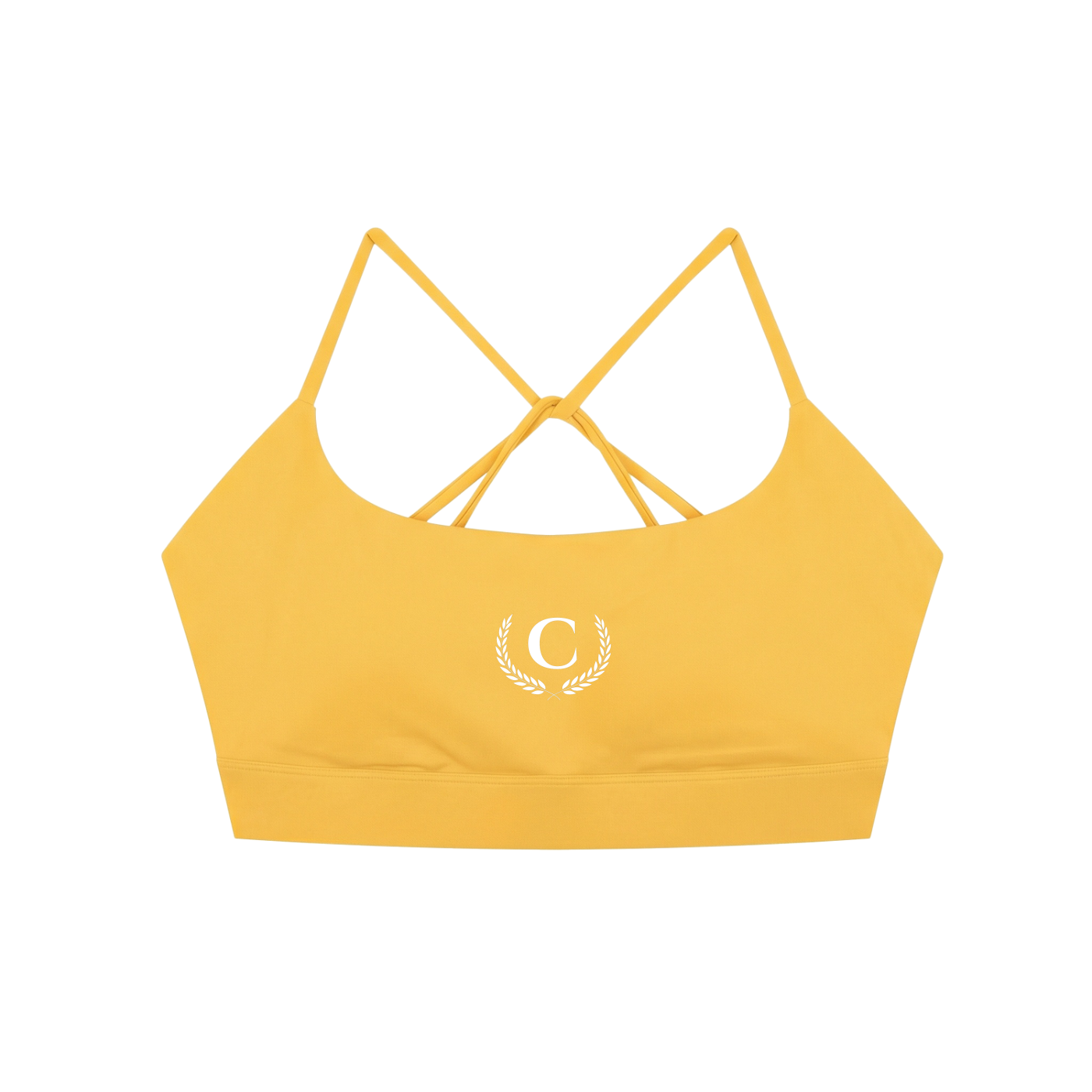 Conviction Halo Sports Bra